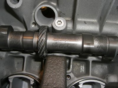 CIMG3466_800x600.jpg
