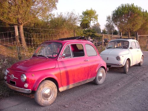 Davanti a casa, la &quot;rossa&quot; accoglie  una sorellina in visita di cortesia, proveniente  da Bologna; luglio 2005