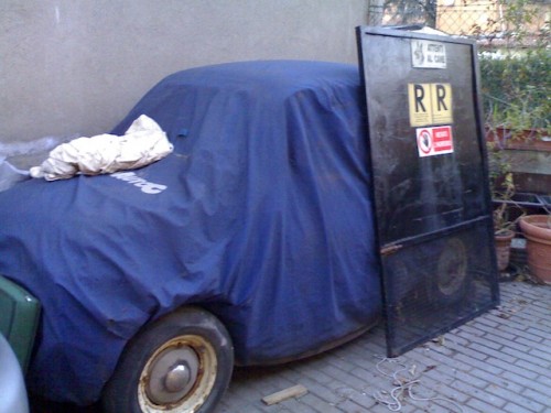 steyr .jpg