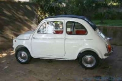 Fiat500D (1)