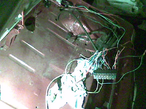Immag003_1.jpg