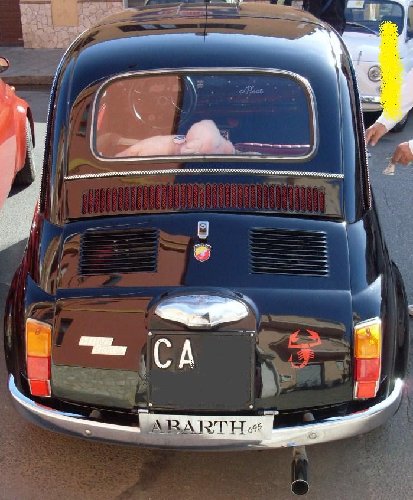 486_A.jpg