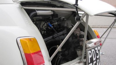IMG_1435_800x450.jpg