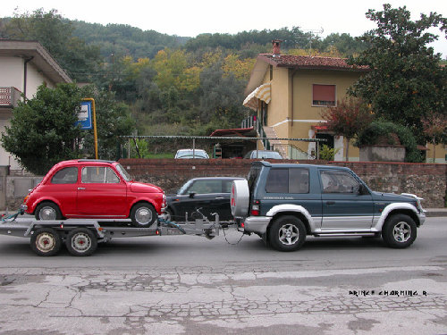 Ecco alcune fasi del trasporto verso la sua nuova casa..